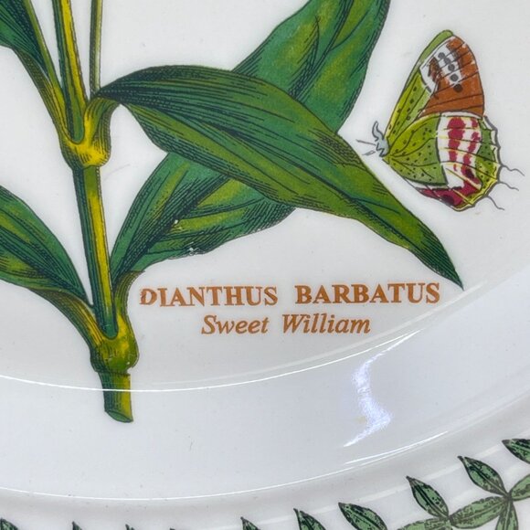 portmeirion botanic garden collection salad plate "sweet william" pattern - Picture 5 of 8